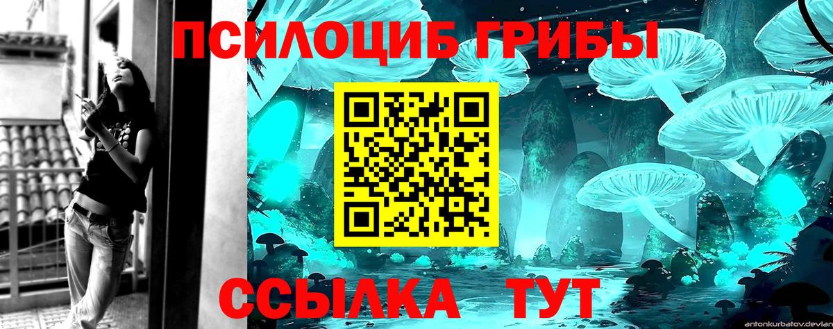Галлюциногенные грибы мухоморы Щёлково